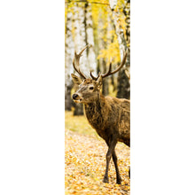 Lade das Bild in den Galerie-Viewer, Acrylglasbild Hirsch im herbstlichen Wald Panorama Hoch
