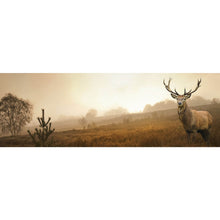 Lade das Bild in den Galerie-Viewer, Poster Hirsch im Nebel Panorama
