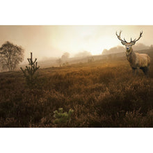 Lade das Bild in den Galerie-Viewer, Spannrahmenbild Hirsch im Nebel Querformat
