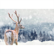 Lade das Bild in den Galerie-Viewer, Acrylglasbild Hirsch im Winter Querformat
