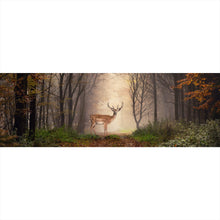 Lade das Bild in den Galerie-Viewer, Aluminiumbild Hirsch in verträumten Nebelwald Panorama
