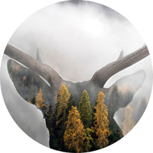Lade das Bild in den Galerie-Viewer, Aluminiumbild gebürstet Hirsch Silhouette mit Wald Kreis
