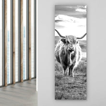 Lade das Bild in den Galerie-Viewer, Aluminiumbild Schottisches Hochlandrind Panorama Hoch
