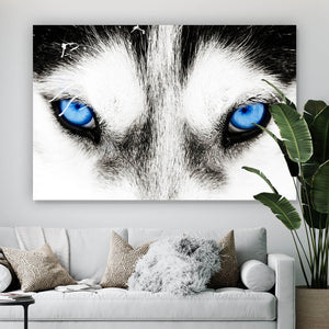 Aluminiumbild gebürstet Husky mit blauen Augen Querformat