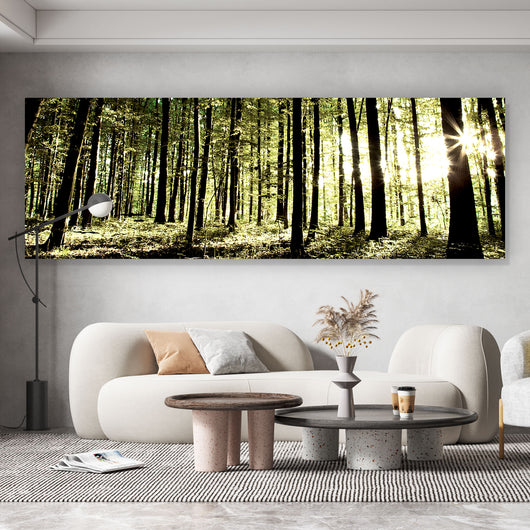 Acrylglasbild Idyllischer Wald Panorama