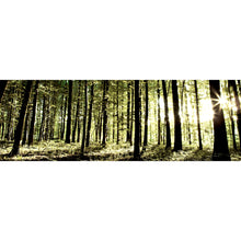 Lade das Bild in den Galerie-Viewer, Leinwandbild Idyllischer Wald Panorama
