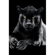 Lade das Bild in den Galerie-Viewer, Poster Jaguar auf schwarzem Hintergrund Hochformat
