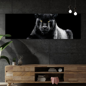 Aluminiumbild gebürstet Jaguar auf schwarzem Hintergrund Panorama