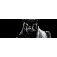 Lade das Bild in den Galerie-Viewer, Aluminiumbild gebürstet Jaguar auf schwarzem Hintergrund Panorama
