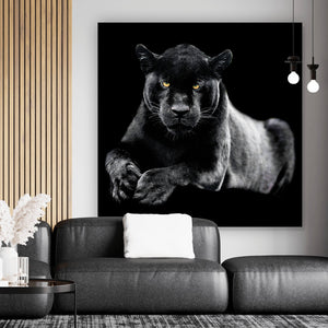 Spannrahmenbild Jaguar auf schwarzem Hintergrund Quadrat