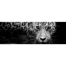 Lade das Bild in den Galerie-Viewer, Spannrahmenbild Leopard Schwarz Weiß Panorama
