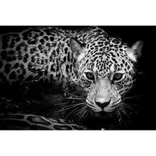 Lade das Bild in den Galerie-Viewer, Poster Leopard Schwarz Weiß Querformat
