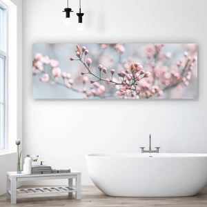 Aluminiumbild gebürstet Japanische Kirschblüten Panorama