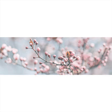 Lade das Bild in den Galerie-Viewer, Leinwandbild Japanische Kirschblüten Panorama
