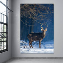 Lade das Bild in den Galerie-Viewer, Aluminiumbild gebürstet Junger Rothirsch im Winterwald Hochformat
