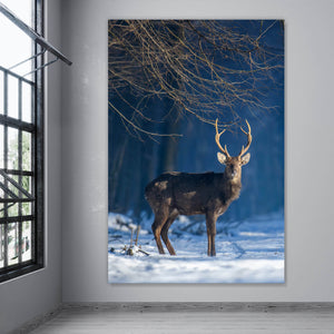 Acrylglasbild Junger Rothirsch im Winterwald Hochformat
