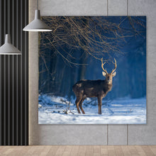 Lade das Bild in den Galerie-Viewer, Acrylglasbild Junger Rothirsch im Winterwald Quadrat
