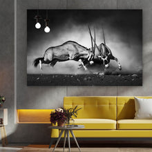 Lade das Bild in den Galerie-Viewer, Leinwandbild Kämpfende Antilopen Querformat

