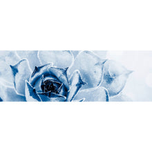 Lade das Bild in den Galerie-Viewer, Aluminiumbild gebürstet Kaktus Sukkulente Blau Panorama
