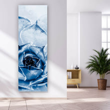 Lade das Bild in den Galerie-Viewer, Aluminiumbild gebürstet Kaktus Sukkulente Blau Panorama Hoch
