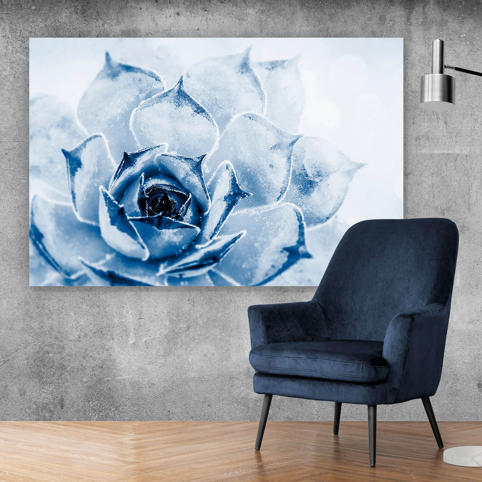 Aluminiumbild Kaktus Sukkulente Blau im Querformat, Aufhängefertig &  Versandkostenfrei – Wandguru