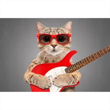 Lade das Bild in den Galerie-Viewer, Aluminiumbild gebürstet Katze mit Gitarre Querformat
