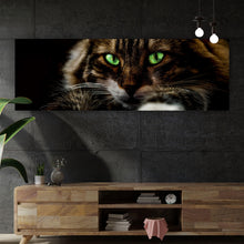 Lade das Bild in den Galerie-Viewer, Poster Katze mit grünen Augen Panorama
