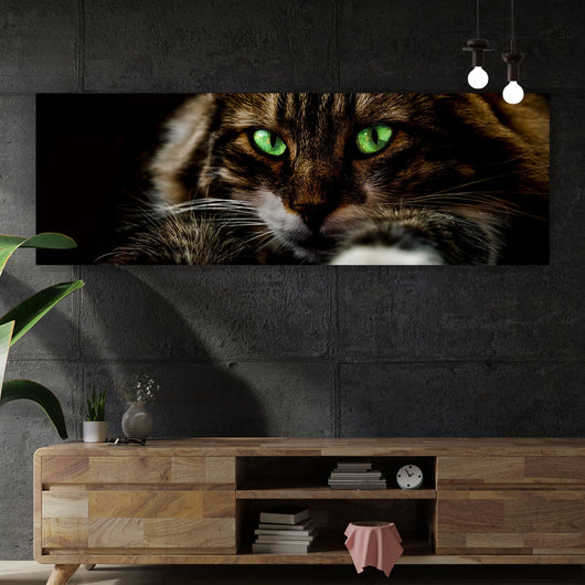 Aluminiumbild gebürstet Katze mit grünen Augen Panorama