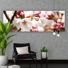 Lade das Bild in den Galerie-Viewer, Poster Kirschblüten im Frühling No.1 Panorama
