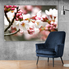 Lade das Bild in den Galerie-Viewer, Leinwandbild Kirschblüten im Frühling No.1 Querformat
