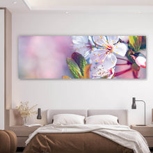 Lade das Bild in den Galerie-Viewer, Leinwandbild Kirschblüten im Frühling Panorama
