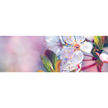 Lade das Bild in den Galerie-Viewer, Aluminiumbild Kirschblüten im Frühling Panorama
