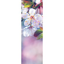 Lade das Bild in den Galerie-Viewer, Aluminiumbild Kirschblüten im Frühling Panorama Hoch
