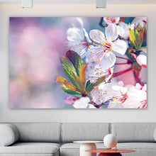 Lade das Bild in den Galerie-Viewer, Aluminiumbild gebürstet Kirschblüten im Frühling Querformat
