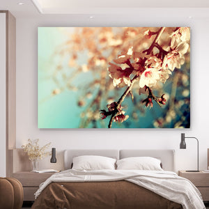Spannrahmenbild Kirschblüten Querformat