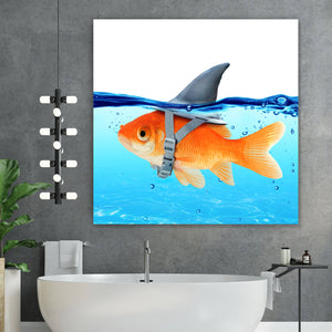 Aluminiumbild Kleiner Goldfisch mit Haiflosse Quadrat
