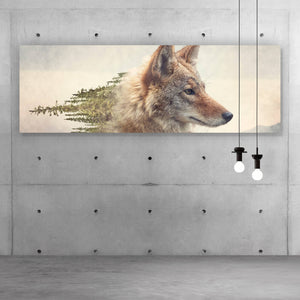 Aluminiumbild Kojote und Kiefernwald Panorama