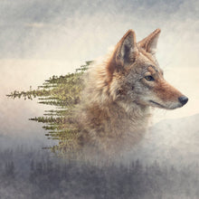 Lade das Bild in den Galerie-Viewer, Aluminiumbild gebürstet Kojote und Kiefernwald Quadrat
