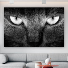 Lade das Bild in den Galerie-Viewer, Leinwandbild Fokussierte Katze Querformat
