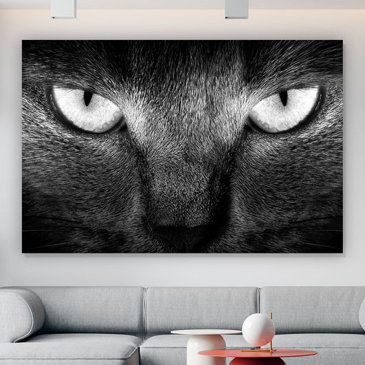 Aluminiumbild Fokussierte Katze Querformat