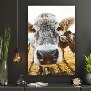 Aluminiumbild gebürstet Kühe auf Weide Hochformat
