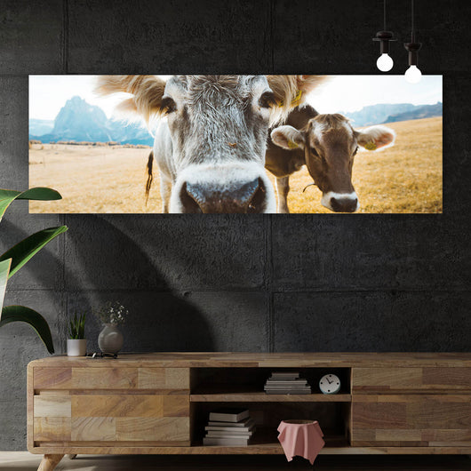 Poster Kühe auf Weide Panorama