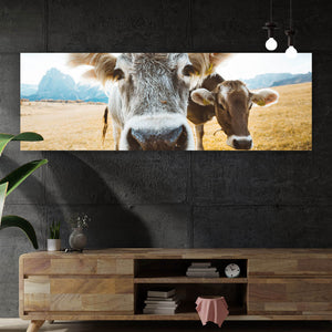 Aluminiumbild gebürstet Kühe auf Weide Panorama