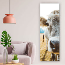 Lade das Bild in den Galerie-Viewer, Leinwandbild Kühe auf Weide Panorama Hoch
