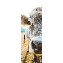 Lade das Bild in den Galerie-Viewer, Aluminiumbild Kühe auf Weide Panorama Hoch
