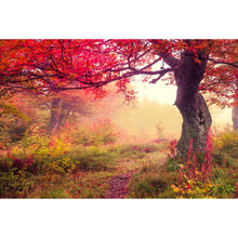 Lade das Bild in den Galerie-Viewer, Leinwandbild Landschaft im Herbst Querformat
