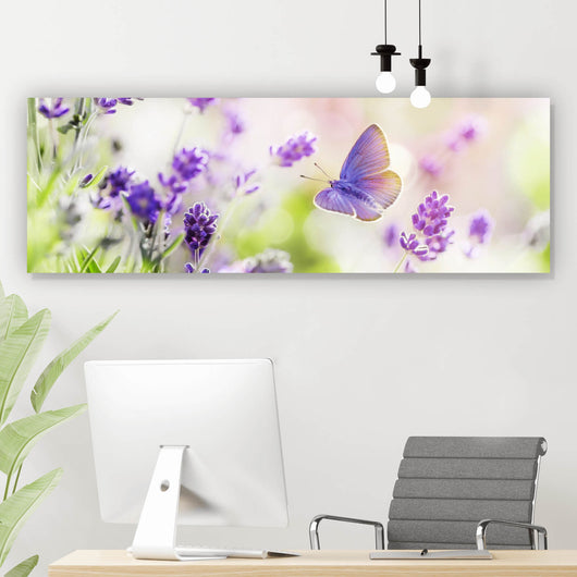 Aluminiumbild Lavendel mit Schmetterling Panorama