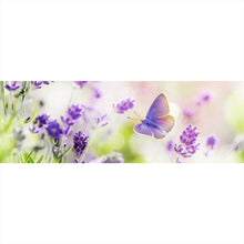 Lade das Bild in den Galerie-Viewer, Leinwandbild Lavendel mit Schmetterling Panorama
