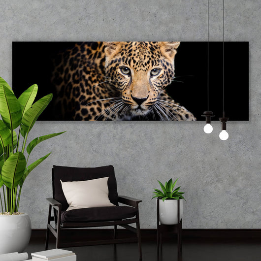 Aluminiumbild gebürstet Leopard auf schwarzem Hintergrund Panorama