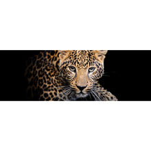 Lade das Bild in den Galerie-Viewer, Acrylglasbild Leopard auf schwarzem Hintergrund Panorama
